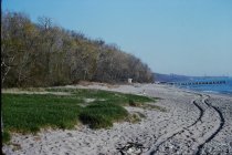View north along the beach